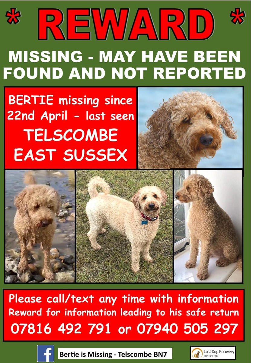🐕 UPDATE 28/6 - POSSIBLE SIGHTING YESTERDAY IN THE KINGSTON/LEWES AREA ‼️‼️‼️

If you are walking, cycling, riding in the area please keep a look out for a shaggy, grubby looking dog.
@bertie_is
facebook.com/10485142787575…