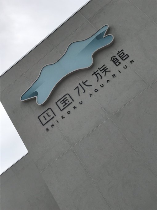 ๅๅฝๆฐดๆ้คจใใฃใฆใใ๐จ
ๆ่ฟใงใใๆฐดๆ้คจใใใใฆใใฃใกใๆฅฝใใใฃใ๐ฅบ๐ ๐ฌ๐โจ