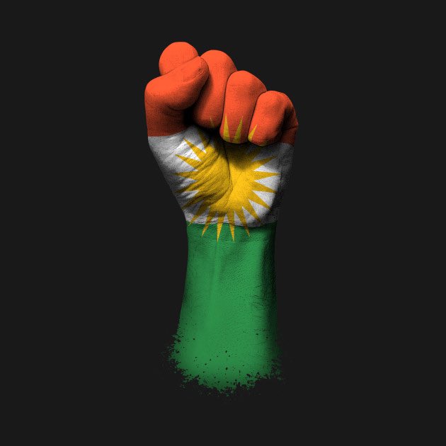 Kurdish people have faced oppression since the beginning of time. It’s 2020 and Turkey are bombing innocent people. Stand up with Kurdish people as #TurkeyInvadesKurdistan