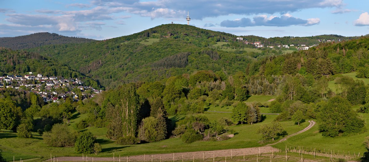 Hildegard was born in 1098 in Bermersheim vor der Höhe, in the Rhine valley. This is smack bang in the middle of the kingdom created by Charlemagne, a previous subject of ours, and also a beautiful part of the world, which is going to be relevant. It looks generally like this: