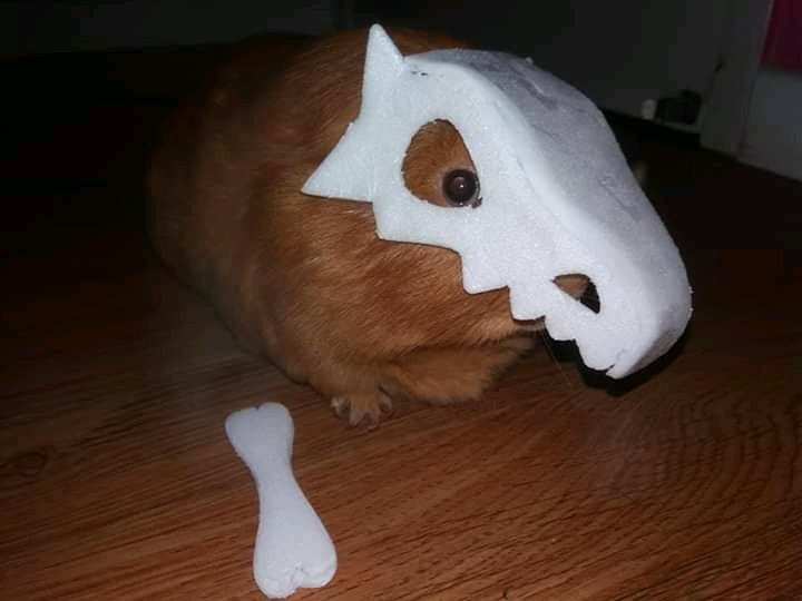Quem é esse Pokémon?❤️😍
