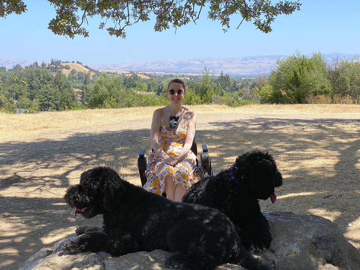 likesevenspoon's tweet photo. We took the doggos to the park! Avoided humans, used the long lead to confirm Ipsi was listening, & practiced our recalls. Then we climbed a hill (my wheelchair is awesome!!) & practiced some environmental places. Yay! #Ellipsis #inTerabang #barbet https://t.co/VrkG5stKa9