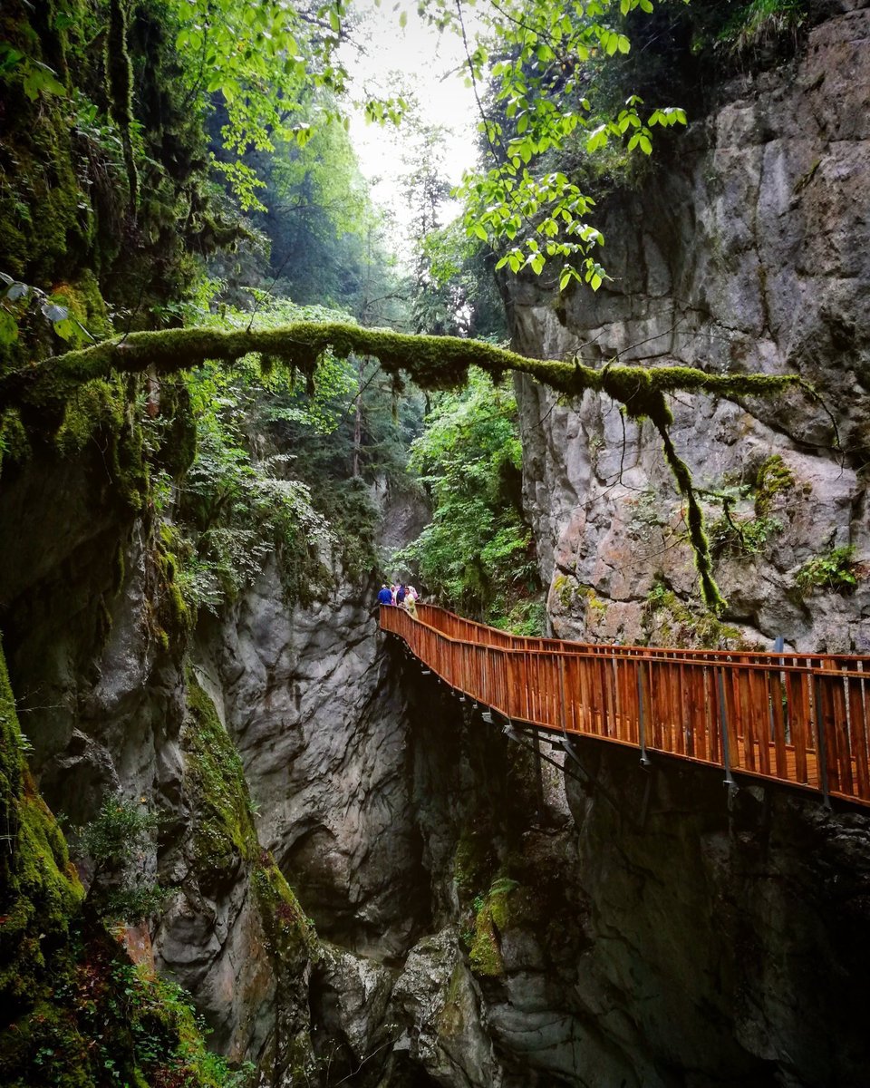 🇹🇷Kastamonu'da yer alan 4 km uzunluğundaki Horma Kanyonu'nda zirve yürüyüşü yapmaya kesin gitmelisin.😍