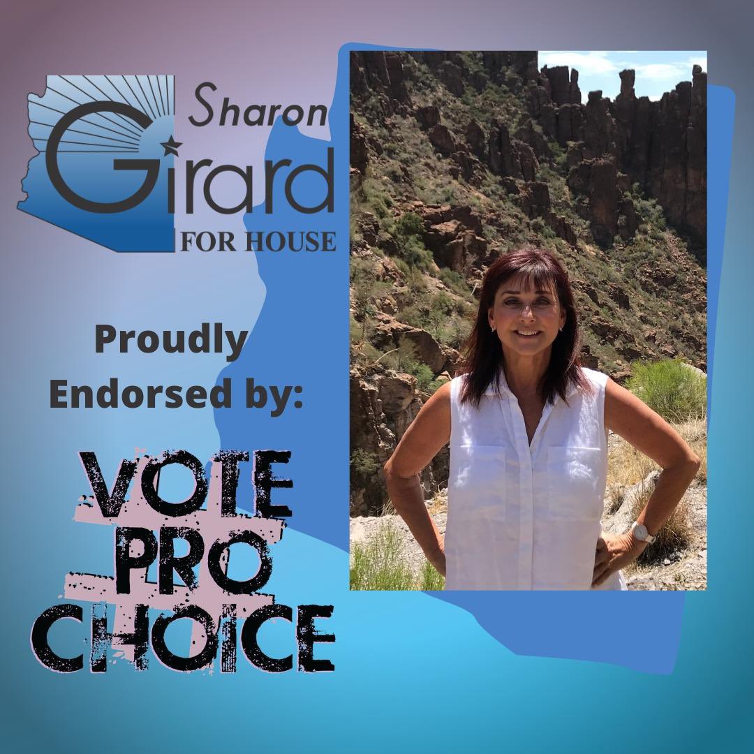 Girard4AZ's tweet photo. Proud endorsement. I support a woman’s right to choose. #AZ is ready for a #bluewave2020 #electaPA #WomensRights #womenslivesmatter #MyBodyMyChoice #WomenSupportingWomen #voteprochoice #womenshealth Will you support me? https://t.co/VbONLkmwps https://t.co/KyKj77ReJc
