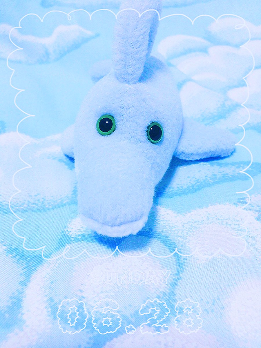 パシャリ📸🌴🍹