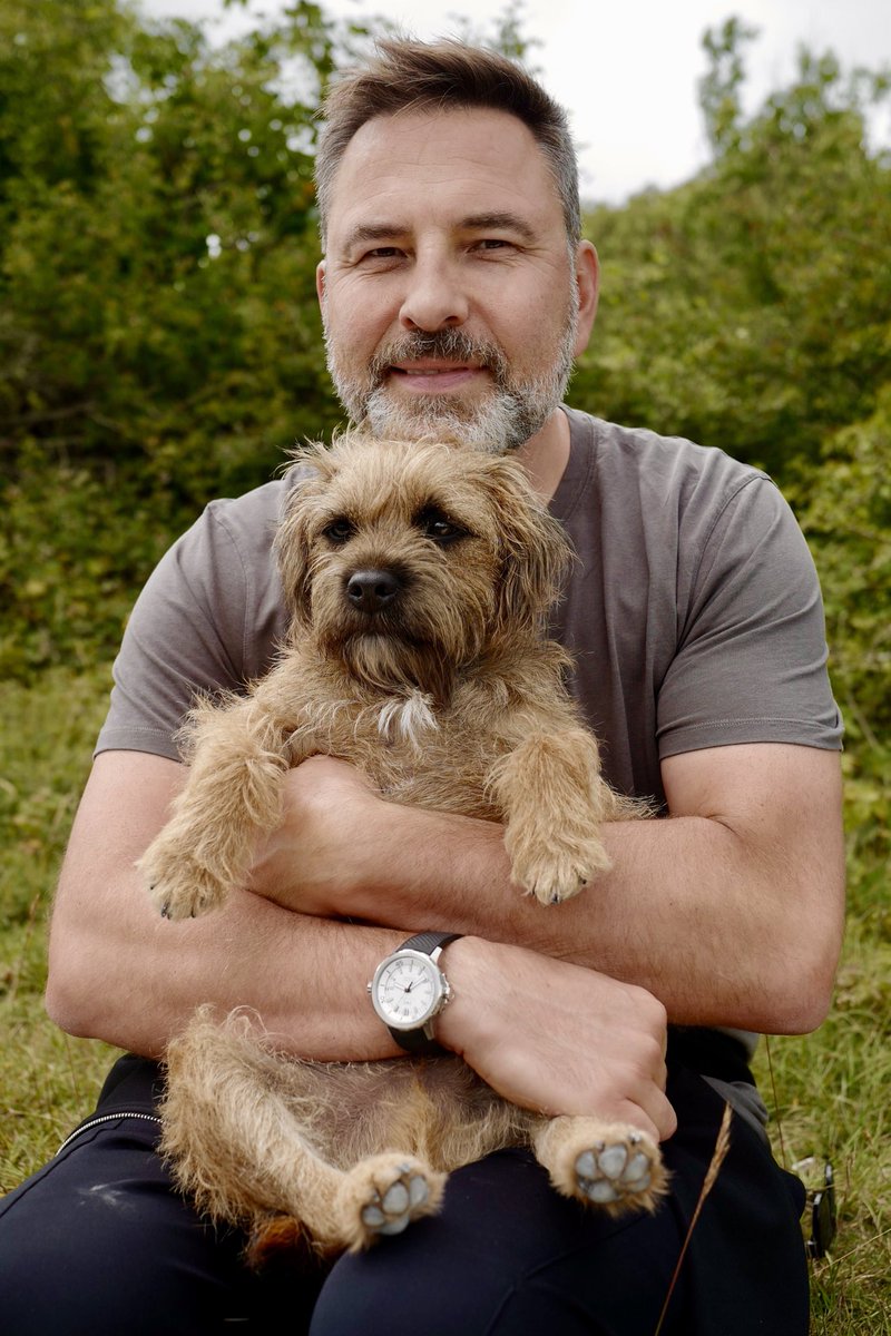 davidwalliams's tweet photo. A Sunday walk for David &amp; Ernie. https://t.co/1aKWqTesZ2