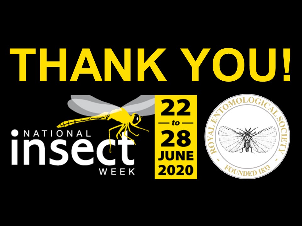 RoyEntSoc's tweet photo. THANK YOU for joining #NIW2020, we've seen amazing insects, events, videos, art, poetry & even dance!
Our Photo Competition is open until 31 Oct.
Watch this space for future @RoyEntSoc outreach.
#EntoAtHome #likeinsects #littlethingsthatruntheworld #insects #entomology https://t.co/rL6G4FoJ9K