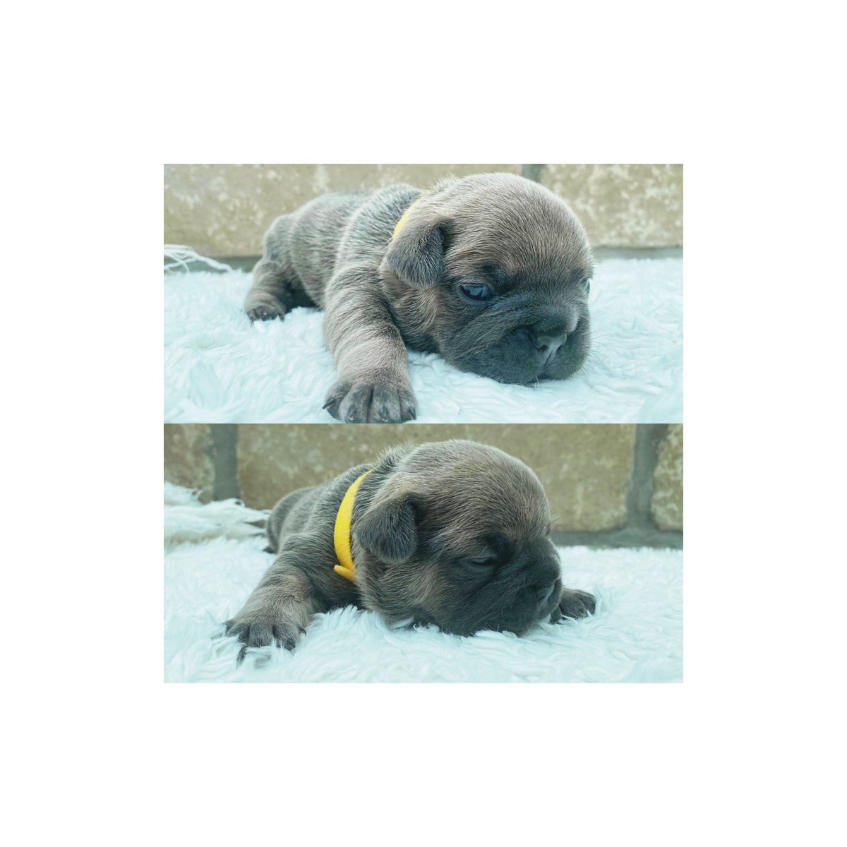 I am so obsessed with her, and she’s not even home for 5 weeks yet 😍