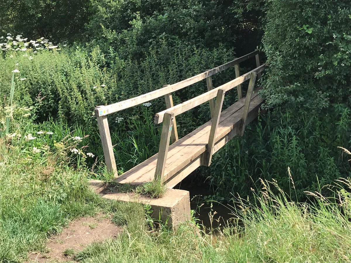 crimethrillgirl's tweet photo. Long hike this afternoon. Gorgeous nature. Beautiful views (inc of the chalk lion on the hillside). And my new nemesis - the narrow bridge. 

Red got skittish, bounced into me. I fell off the bridge and backwards down steep muddy bank. I’m now bruised and muddy! #bridgefail 😂😂 https://t.co/56sv4NL2ST