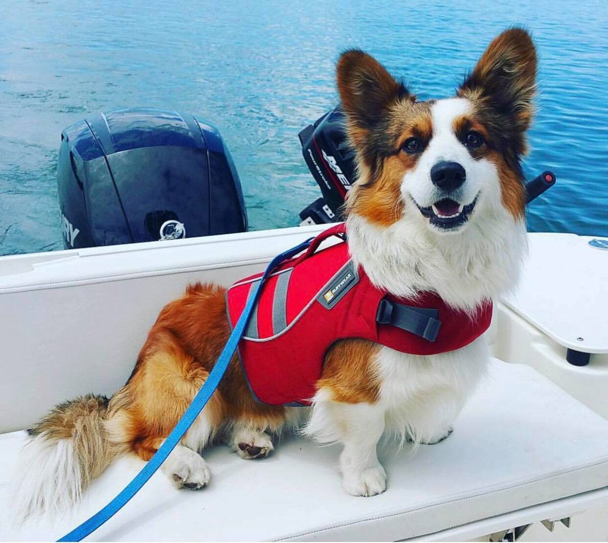 Keep everybody safe by wearing lifejackets on the water!
#GreatLakesBoatingSafety #FourthOfJuly #GreatLakes