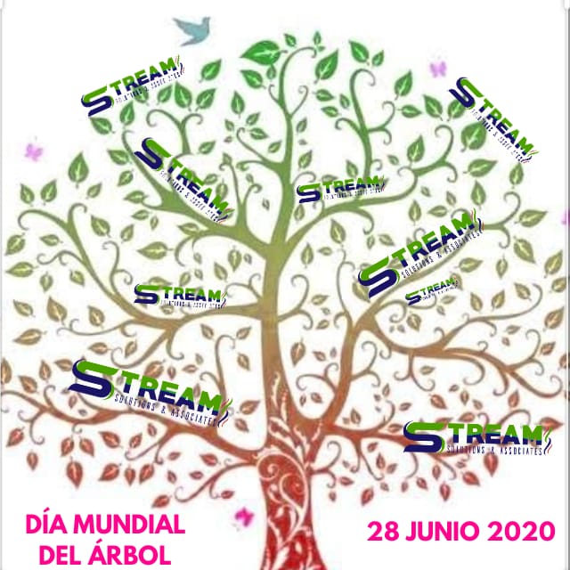 SolutionsStream's tweet image. #DiaMundialdelArbol 
#medioambiente 
#solarenergy 
#Tabasco