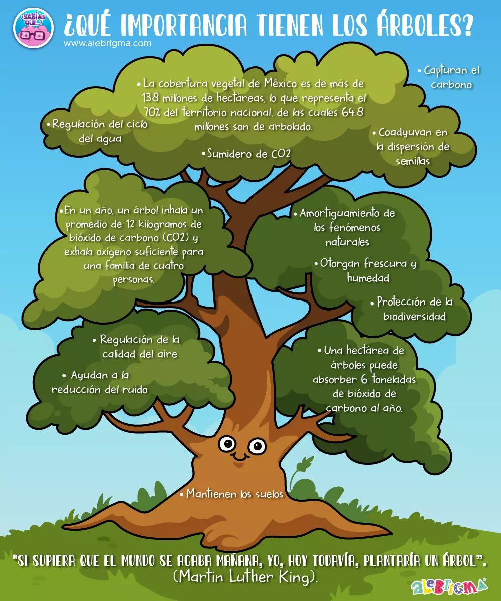 alebrigma's tweet photo. #Alebrigmos! El día de hoy celebramos el “#DíaMundialdelÁrbol” 🌳, un recordatorio para hacer conciencia sobre los beneficios que de los árboles obtenemos y de la importancia de protegerlos.
#Alebrigma, ¡más que un juego un aprendizaje! https://t.co/fW34CLEMT3