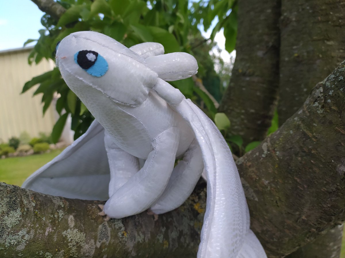 AmaSumeOkami's tweet photo. Voilà je viens de finir mon dernier gros projet à ce jour. Je suis assez fière du résultat ^^ #dragon3 #lightfury #dragon https://t.co/ZNq3MIvWHi