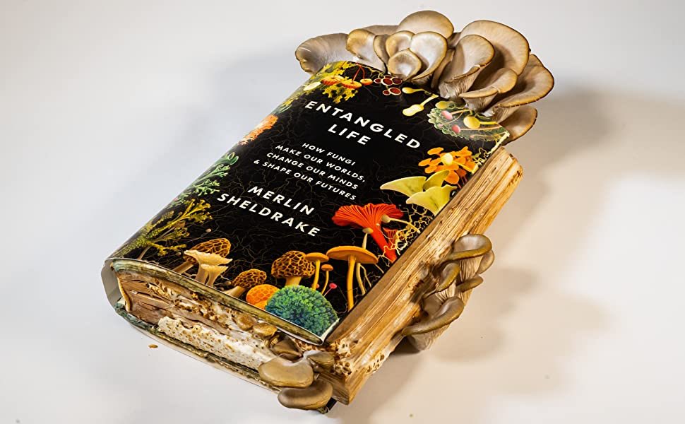 1/ Reading Entangled Life by  @MerlinSheldrake “How fungi make our worlds, change our minds, and shape our future”Thread containing some insights 