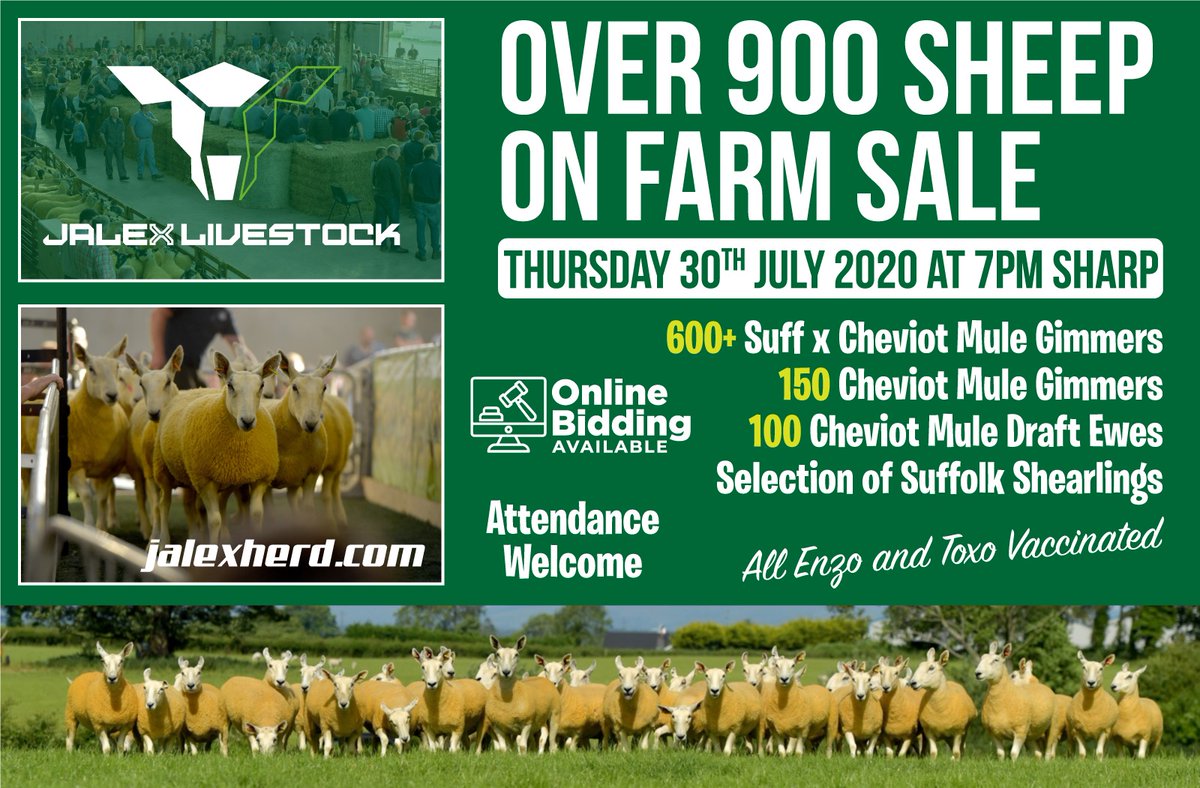 Jalex (@jalexherd) on Twitter photo 