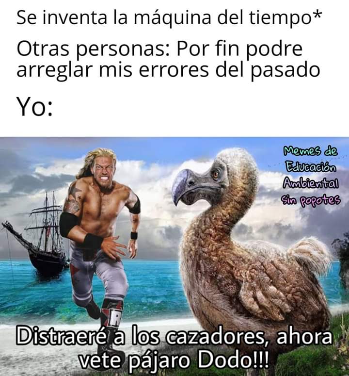 Los memes de Edge y la máquina del tiempo son lo mejor de este mes. Llegaron para quedarse.