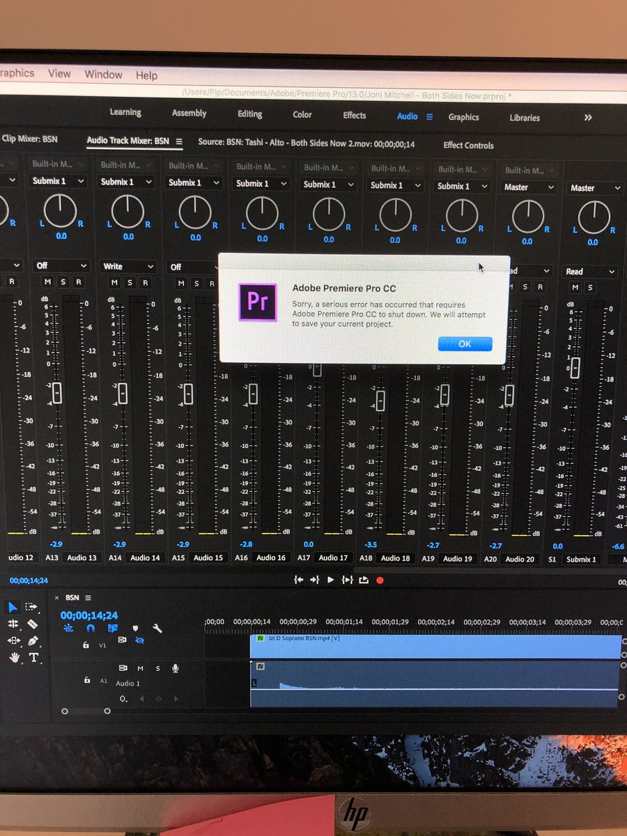 Nooooooooooooooo #premierepro #virtualchoor #sendhelp