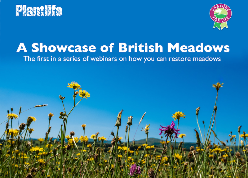 PastureForLife's tweet photo. A Celebration of British Meadows. 5.30pm Friday 3rd July. Join us and @Love_plants ahead of this year's National Meadows Day for a webinar to see how they are being restored by farmers, landowners and communities with passion and creativity https://t.co/0L1qxulq5Y https://t.co/M6OX5LwJwB