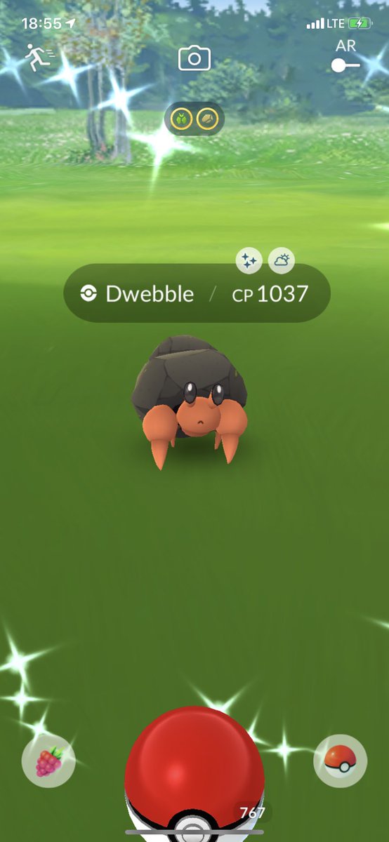 SMRPKMNGO's tweet image. #Shiny #Dwebble family complete! ✨🥳

#PokemonGO #ポケモンGO
