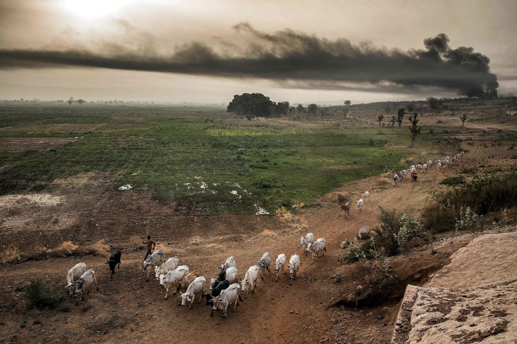 EllieSchulz5's tweet photo. The world’s land and water resources are being exploited at “unprecedented rates,” a new United Nations report warns, which combined with climate change is putting dire pressure on the ability of humanity to feed itself.#globalfood.#globalhealth https://t.co/CpwmHOL2oQ