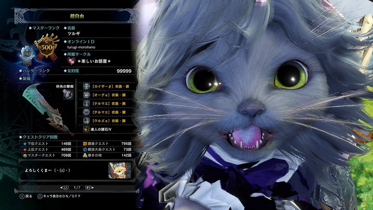 🐻もろはのつるぎ🧸 tweet media