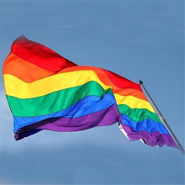 BRUNO SALAS tweet media