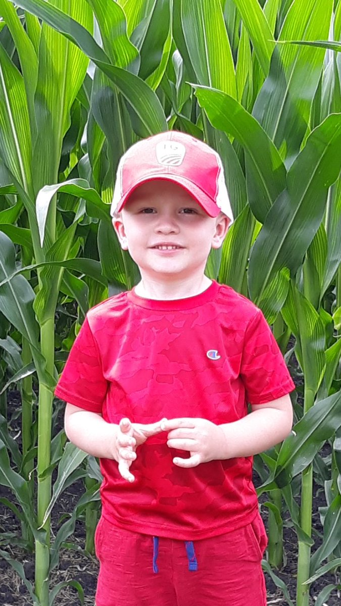 MarshBjorklund's tweet photo. The little man approves of the @LGSeeds corn. @DanielOlson12 https://t.co/YtgznwqcUy