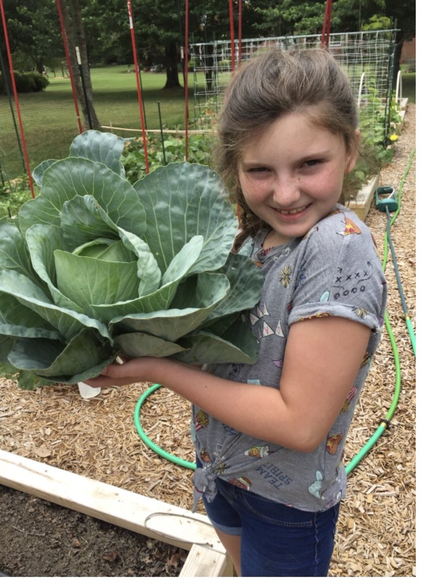 Kathleen Bennett tweet media