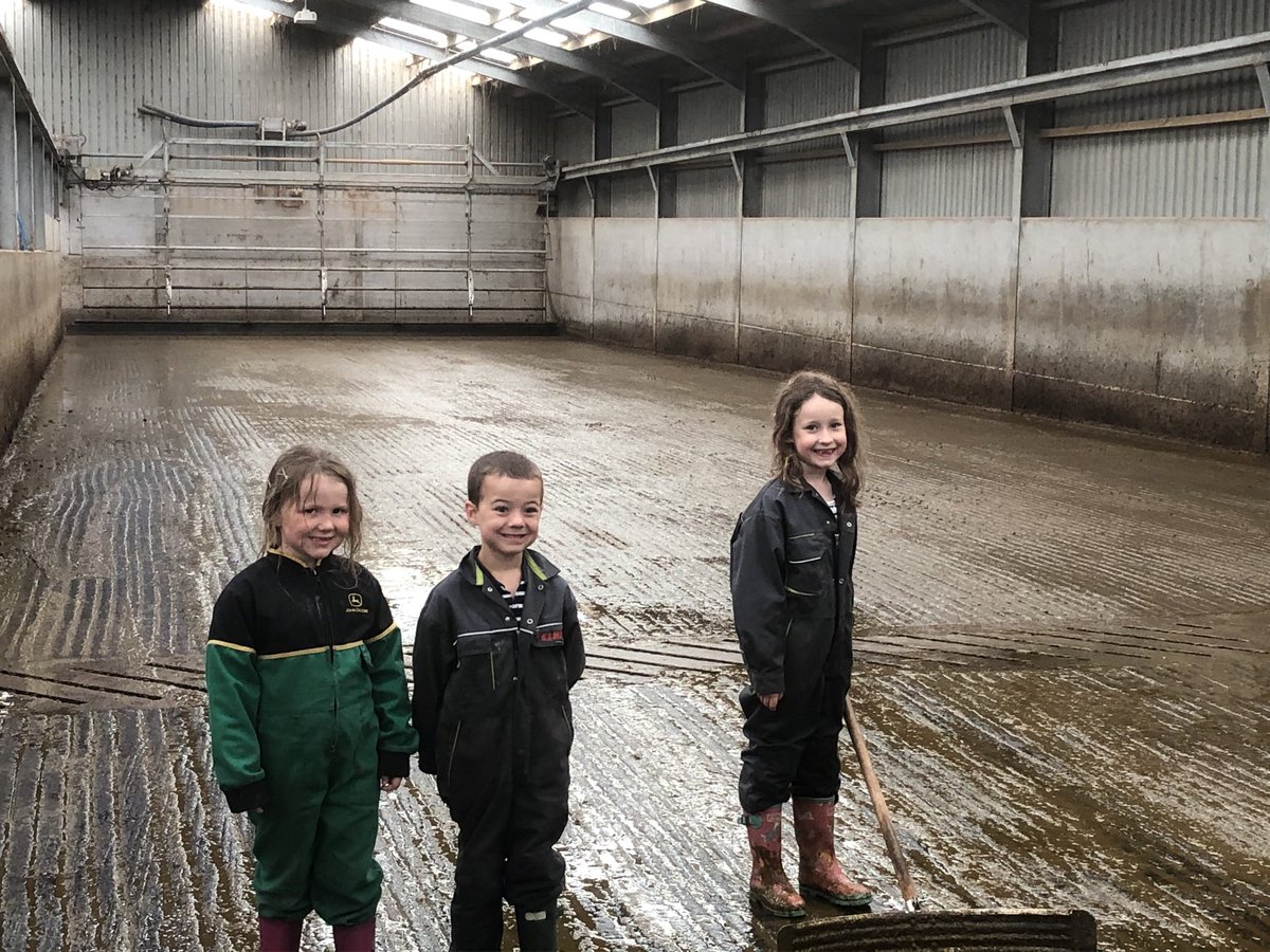 stevenheron1's tweet image. The future workforce!