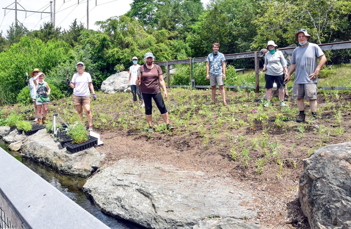 On the last day of Pollinator Week, we give a shout out to the UConn Master Gardeners. The volunteers designed our new Pollinator Garden and planted over 1,500 native plants!