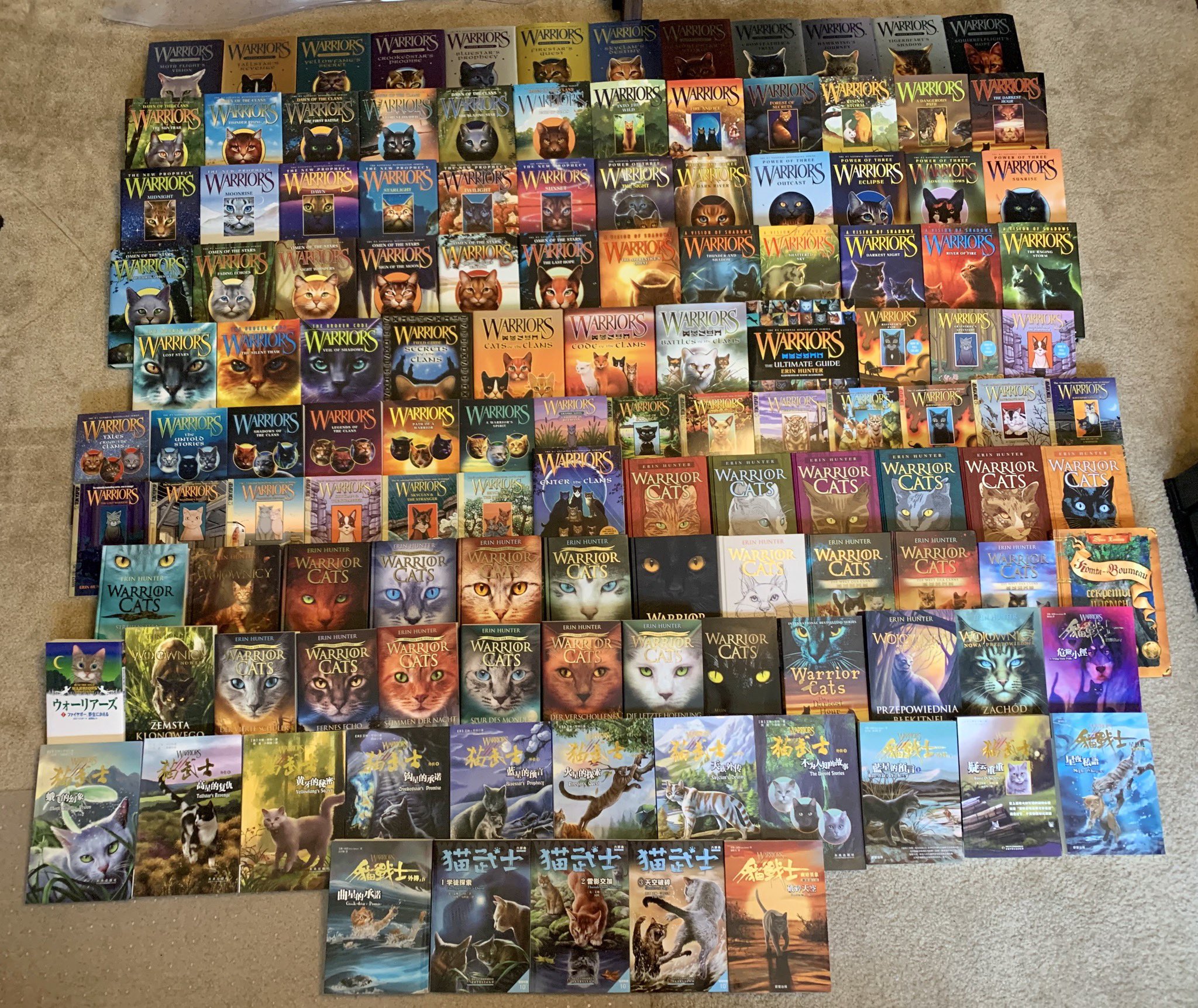Every Warrior Cat Book in Chronological Order (2023) 