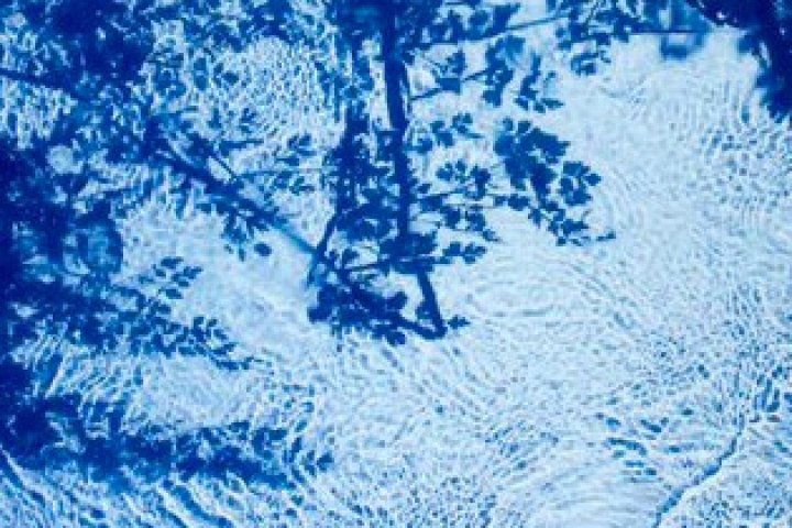 Roberto65308180's tweet photo. Amazing work by #SusanDerges #cameraless #NaturePhotography https://t.co/0v33YDZ1tB