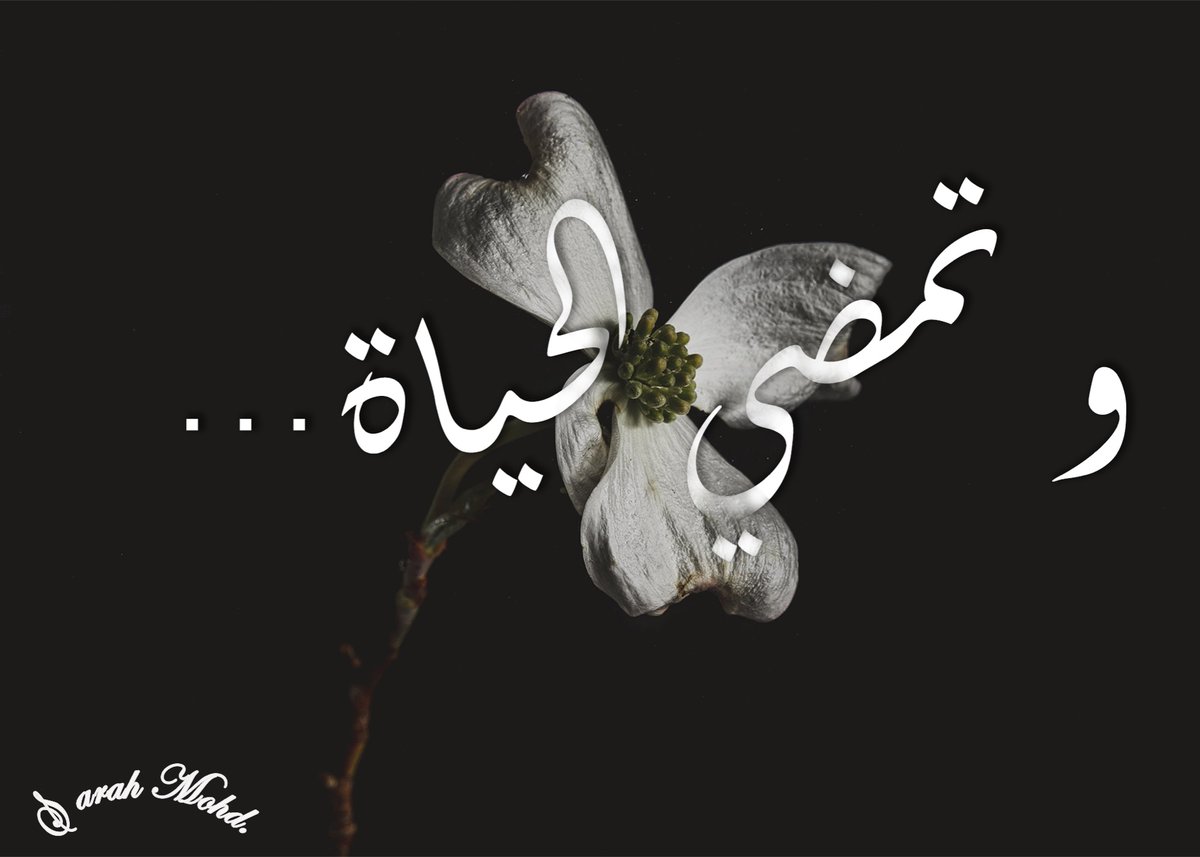 Sa__76_m's tweet photo. استخدمت بعض المهارات اللي تعلمتها من دوره
graphic designing
من تقديم @saedalsaleh1 🤩🤩
@cpesq8
#Cpes_Courses
#Cpes_OnlineCourses https://t.co/jrZpz1R47Q