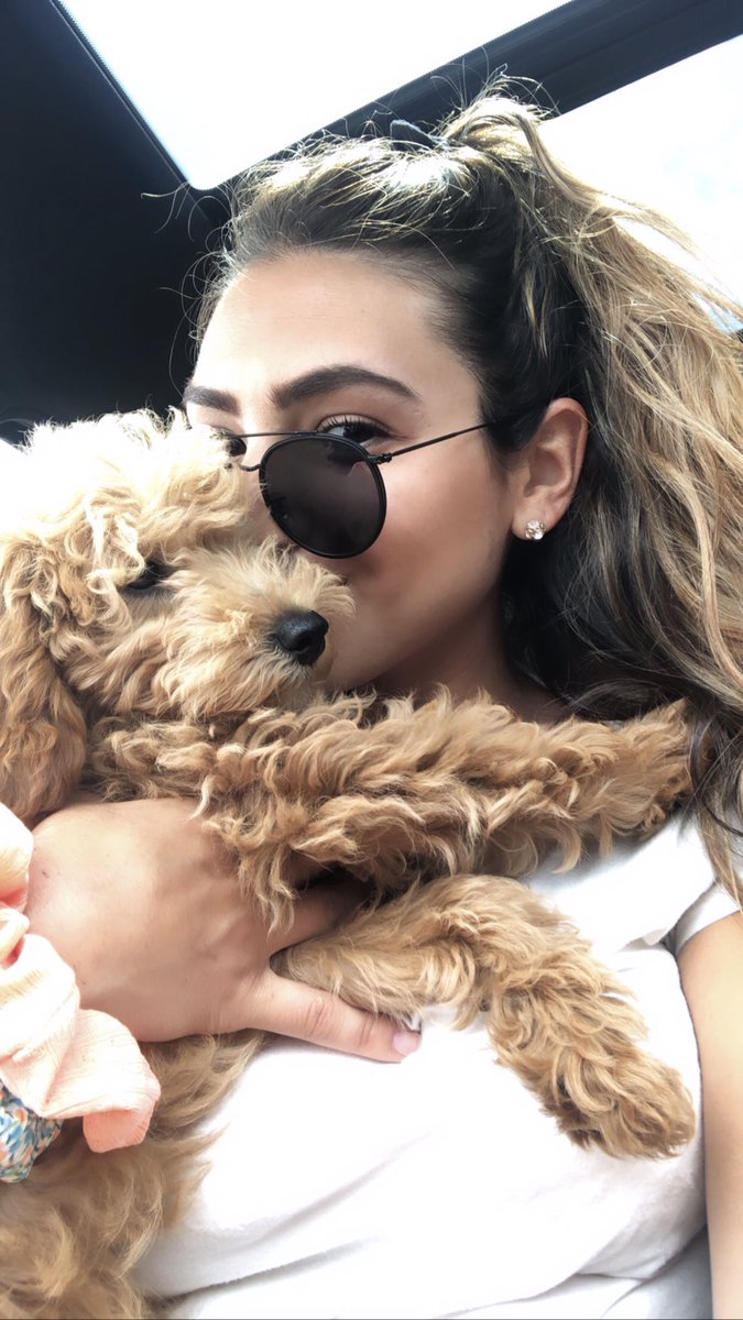 Allisoncalvello's tweet photo. the most handsome boy with the best snuggles. https://t.co/eRSm1AT3lO