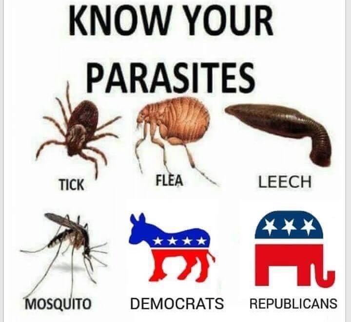 Sal the Agorist (@sallymayweather) on Twitter photo 