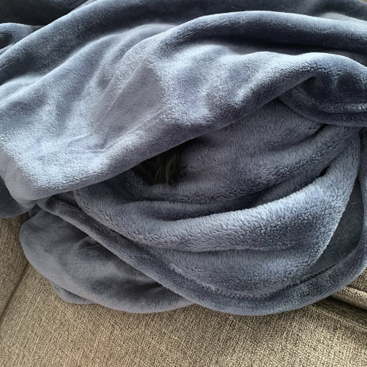 TheChadBenson's tweet photo. Mushu is inside there somewhere. #coldboy https://t.co/IP3zTpv4EA