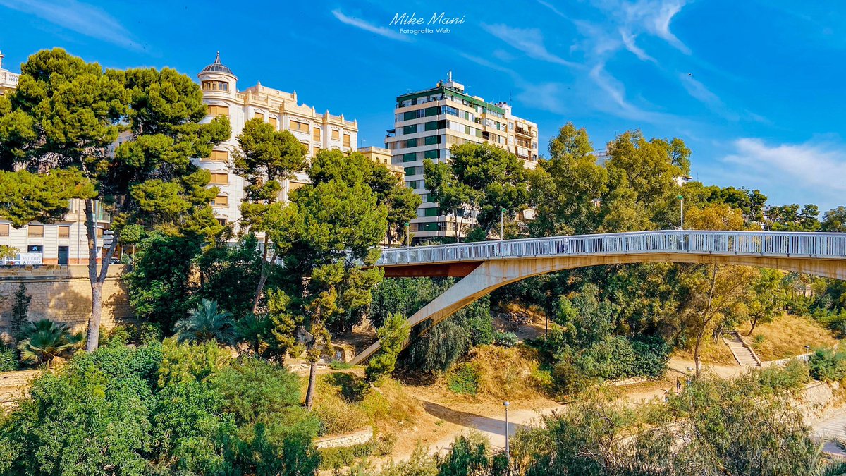 MikeFotoLife's tweet photo. La Pasarela, Elche.
•
©️Mike Mani - Fotografía web
•
#lapasareladeelche #elche #elx #estructuras #fotografía #photography #igerselche #visitelx #visitelche #lapasarela #elchesolypalmeras #puentesdeelche #comparteelche #patrimonioilicitano #fotosdeelche #fotosdelx https://t.co/0hmA6BrZDZ