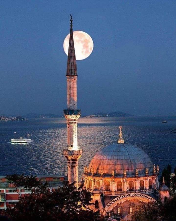 EZANI ŞERİF OKUNURSA AYA KALK SÖYLE 
AZİZ ALLAH ŞEFAAT YA RASULALLAH
 ANLAMI...
ALLAH AZİZDİR, Çok kıymetli ve değerlidir, RASULULLAH'TAN şefaat
 etmesini yardım ETMESINI DİLİYORUM.