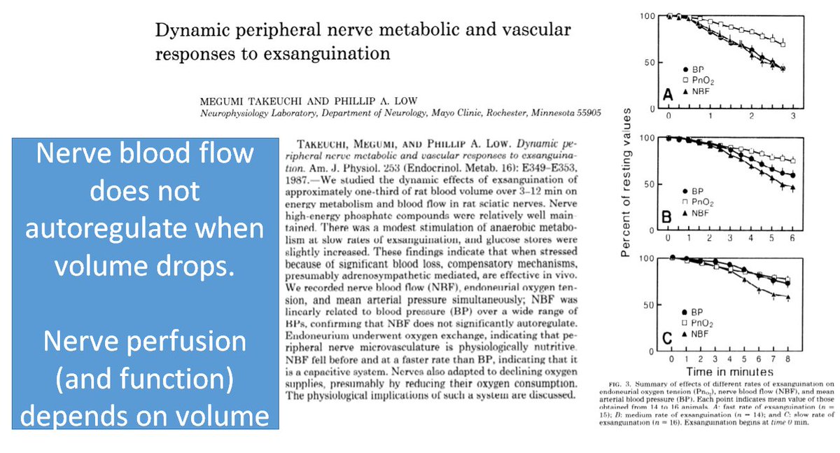 But why cramps in  #cirrhosisATP in muscle of ppl w/cirrhosisATP needed for myosin to detach from actincramping in cirrhosis associated withplasma volume &renin activityNerve perfusion depends on volume &vol alsosympathetic nerve activity3/
