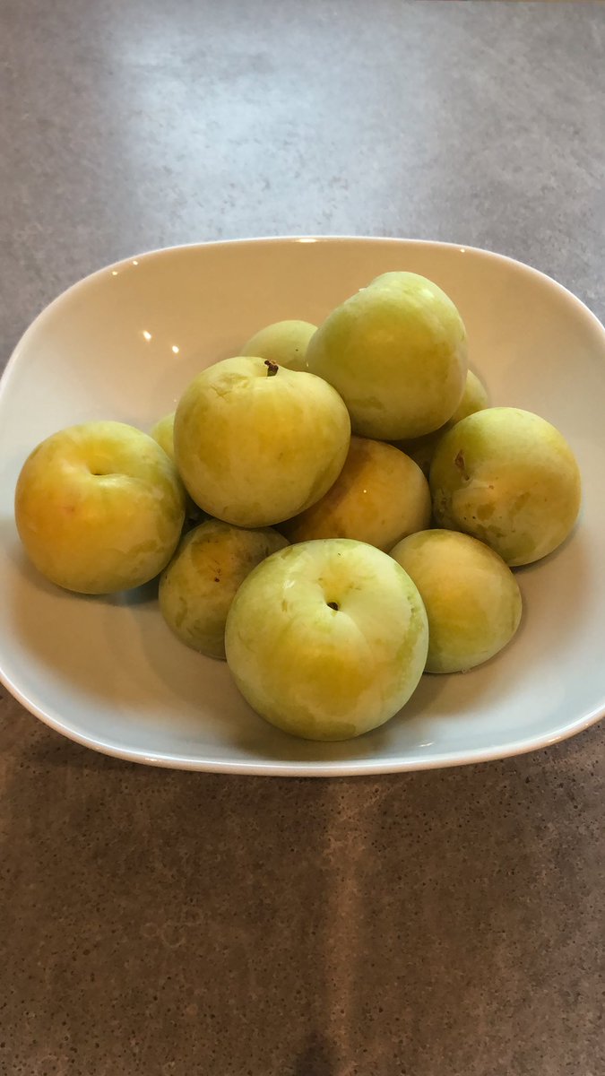 Eu個人輸入コンシェルジュ イタリア Personal Import Twitter