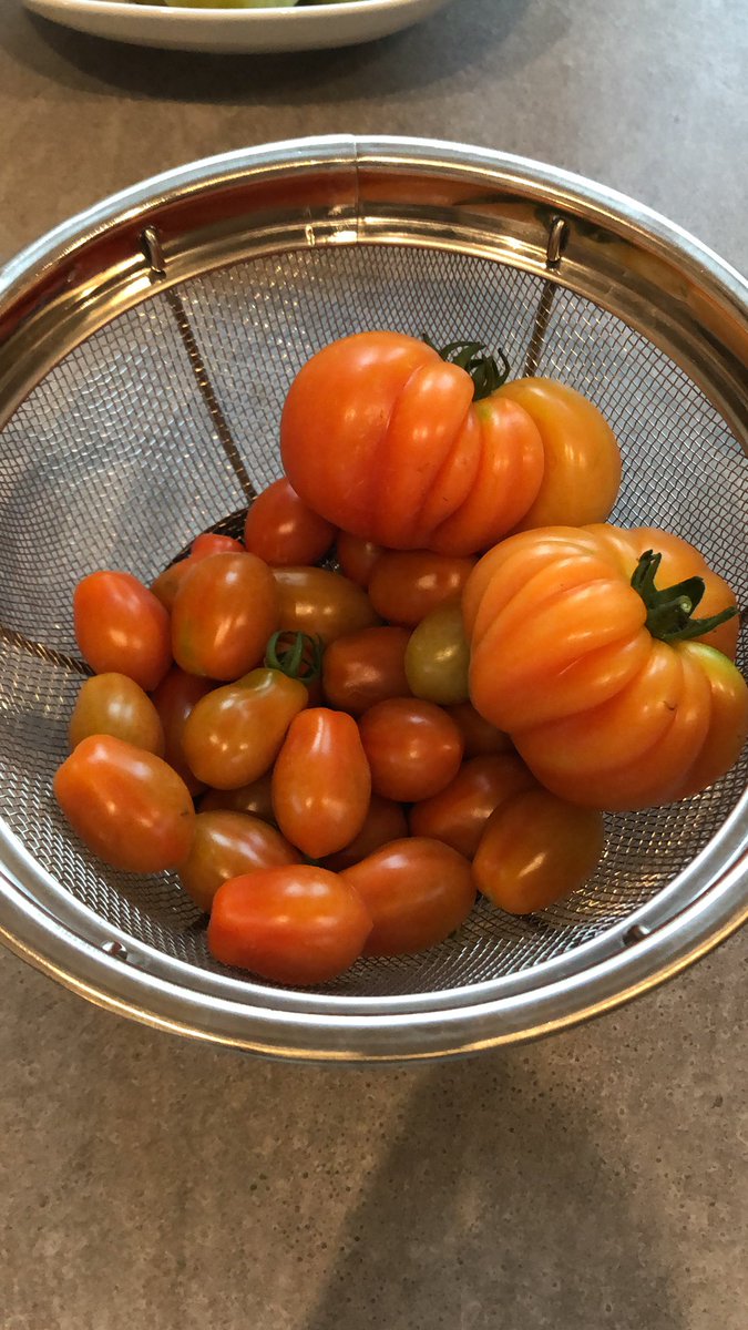 Eu個人輸入コンシェルジュ イタリア Personal Import Twitter