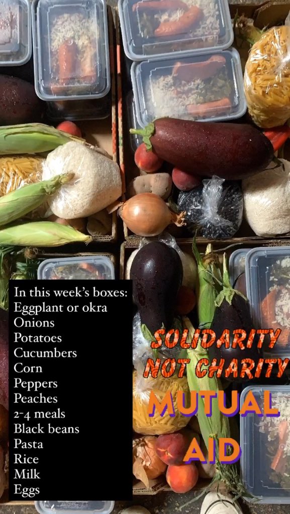 Cattail Cooks tweet media