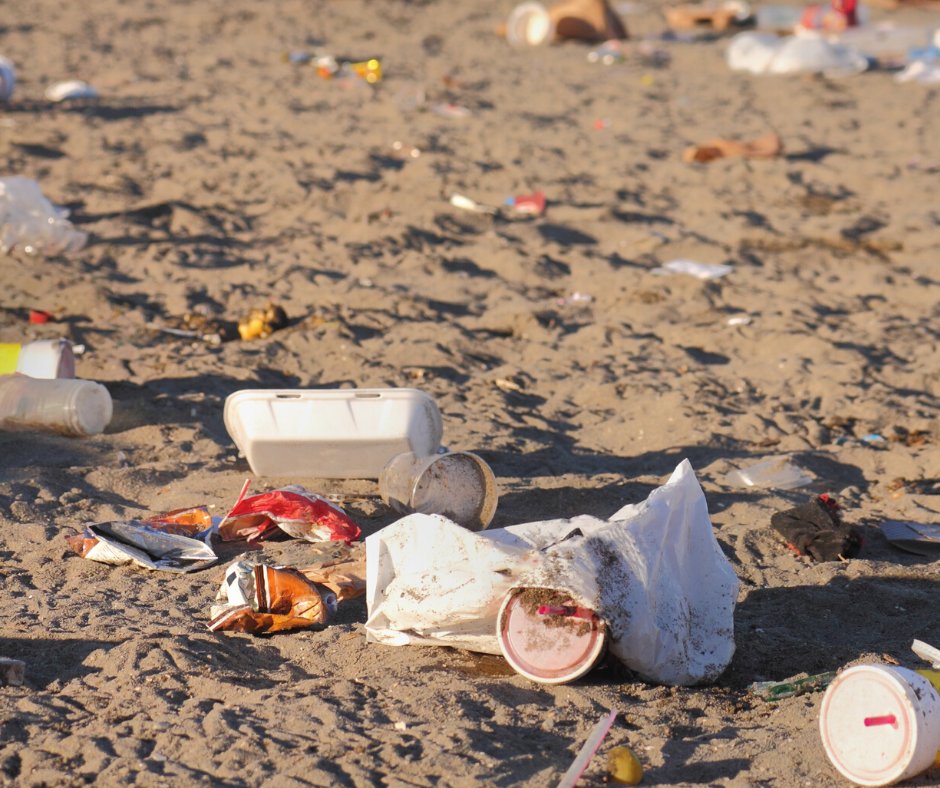 City of Toronto 🇨🇦 tweet media