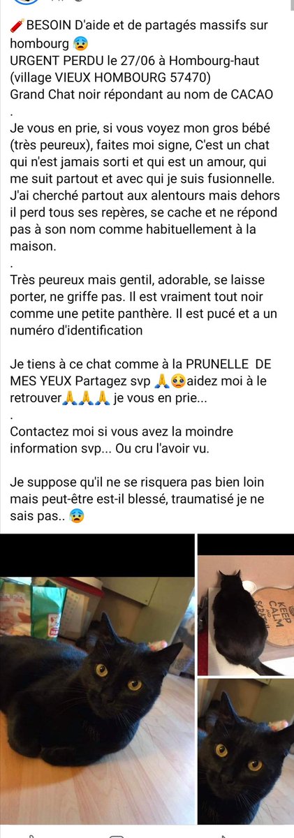 Hombourg