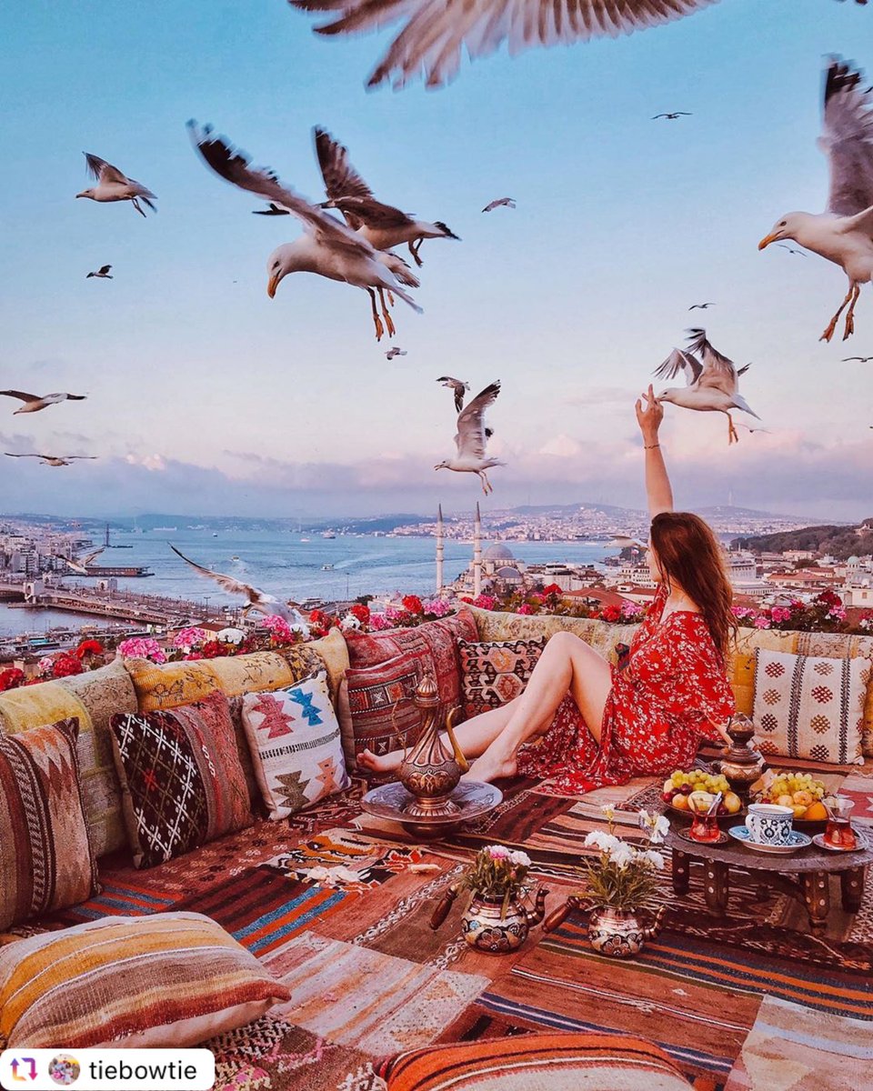 TRCoffeeLady's tweet photo. Istanbul is calling! #IstanbulMagic 💫 📷 @tiebowtie https://t.co/YnLD9qtifg