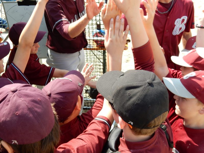 Spielbetrieb startet wieder ab dem 18. Juli - erding-mallards.de/15081/spielbet…