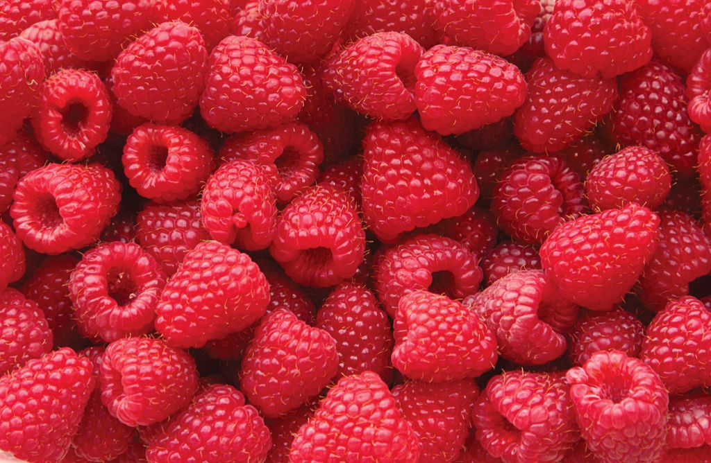One cup of raspberries = 8 grams of Fiber

Studies suggest an adult should consume 22- 36 grams of fiber a day!

#raspberries #Californiaraspberries #eatlocal #local #farmtoform #fiberfilled #bekindtoyourbody