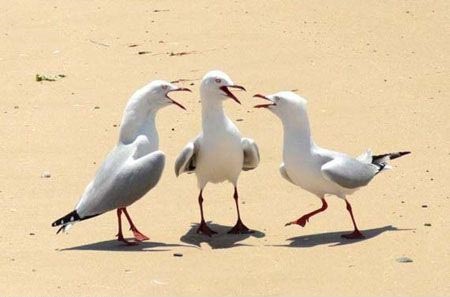 thelaceylondon's tweet photo. In six words or fewer, write a short story about this photo...

#amwriting #sixwordstory https://t.co/3bYDks2VrZ