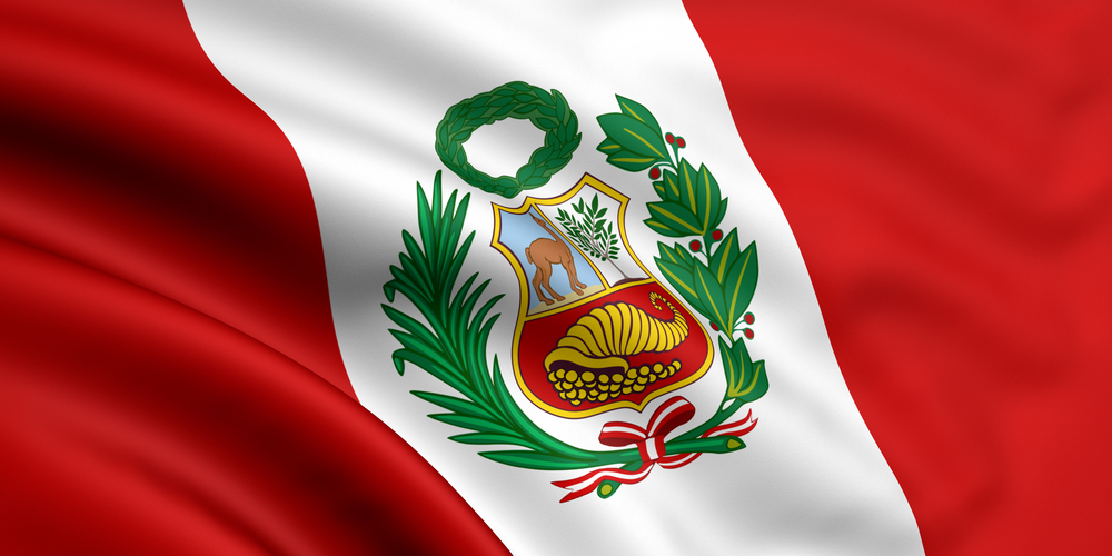¡Esta bandera hermosa, la blanquirroja, es la única que me representa!