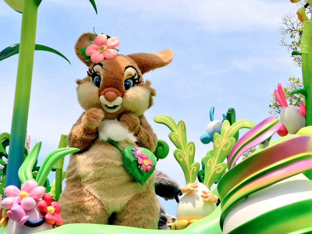 ミスバニー Hashtag On Twitter